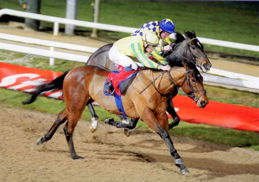 MACHETE MARK - winning at Dundalk 11th Jan.